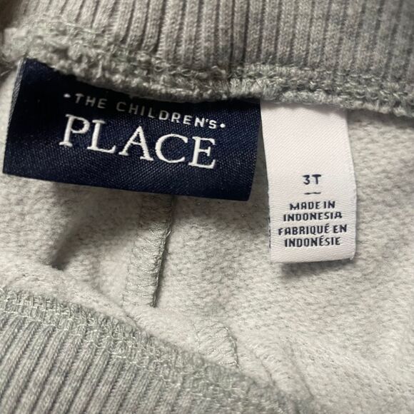 Dinosaur Snug-Fit Pajamas Boys 3T The Children's Place Long Sleeves Gray Blue - Picture 6 of 7